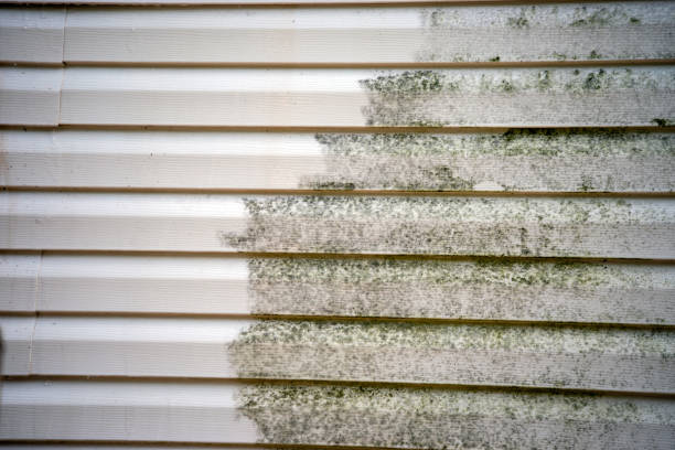 Custom Trim and Detailing for Siding in Matheny, CA